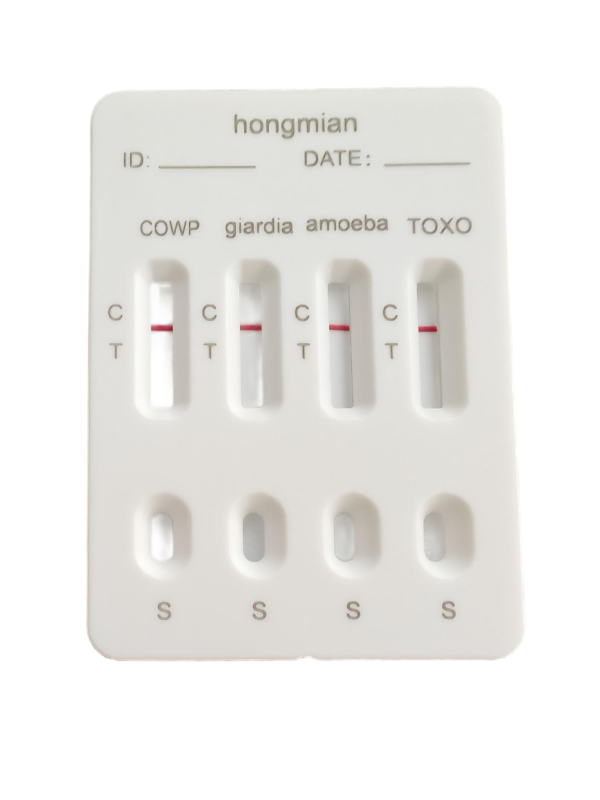 4in1 Detection Kit for Cryptosporidium Giardia Amoeba Toxoplasma Supplier Hongmian