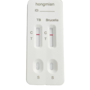 Mycobacterium Tuberculosis Human Brucellosis 2in1 Detection Kit Hongmian POCT Manufacturer