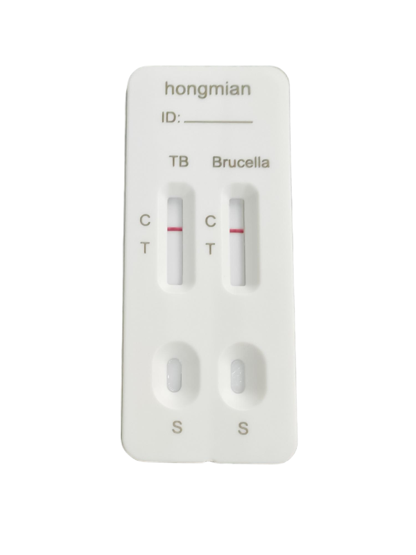 Mycobacterium Tuberculosis Human Brucellosis 2in1 Detection Kit Hongmian POCT Manufacturer
